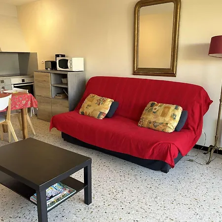 شقة T2 Equipe, 4 Couchages, Proche Et Centre - Parking Prive, - Fr-1-250-102 لو غراو دو روا